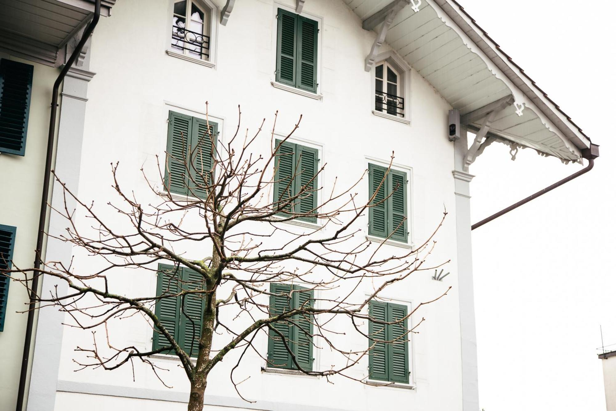 Nimbuzzz Apartments Unterseen Exterior foto